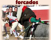 Forcados ... eight men calls out to a bull and tries to grab once the bull chases them