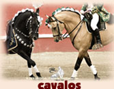 Cavalos ... majestic horses trained to out maneuver a fighting bull
