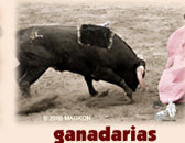 Ganadarias ... bull breeders that provide these exceptionally beautiful strong breeds to show their strength