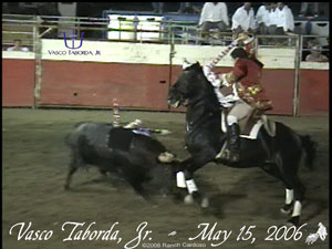 Vasco Taborda, Jr. - Laton Festa Bullfight - May 15, 2006