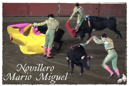 Matador exhibiting all 3 events of his act.. the Capote, Banderilla, and the Muleta/Faena.  NOTE:  at the time when this photo was taken, Matador Mario Miguel was a Novillero (amateur)?